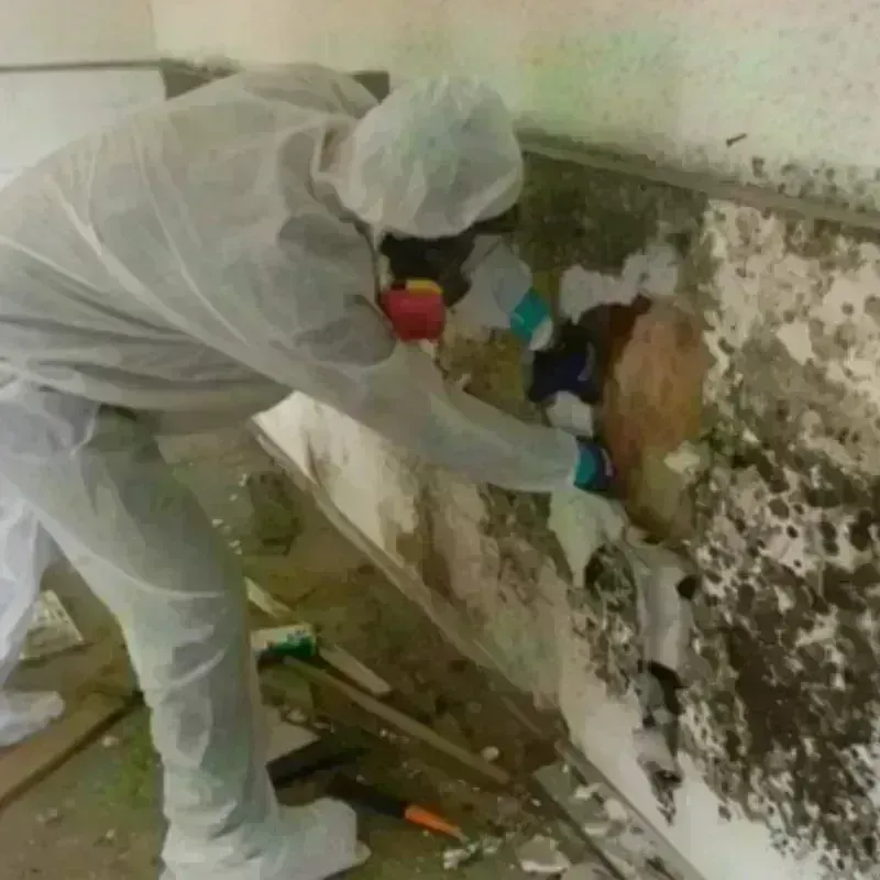 Mold Remediation and Removal in Greenland, NH